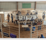 20dcd162a39341e2af291340414e04b0