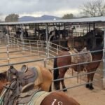 223fe131-ef95-44ea-bcdc-4e6405e43d6b