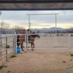 ed3bf9be-5635-485f-be14-3aaa22312c34