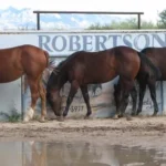 f9c1496a-7651-4240-8dda-d7258b27e82b