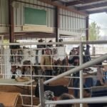 fa3eaa16-f54e-42c5-b0e4-bf52260a3eb9